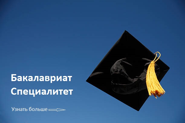 Бакалавриат Специалитет кнопка.jpg