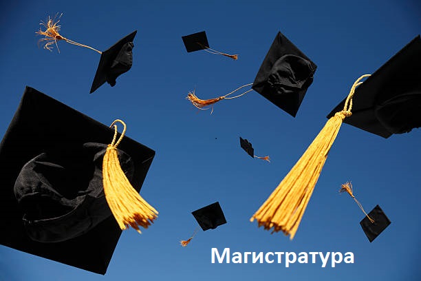 Магистратура кнопка.jpg